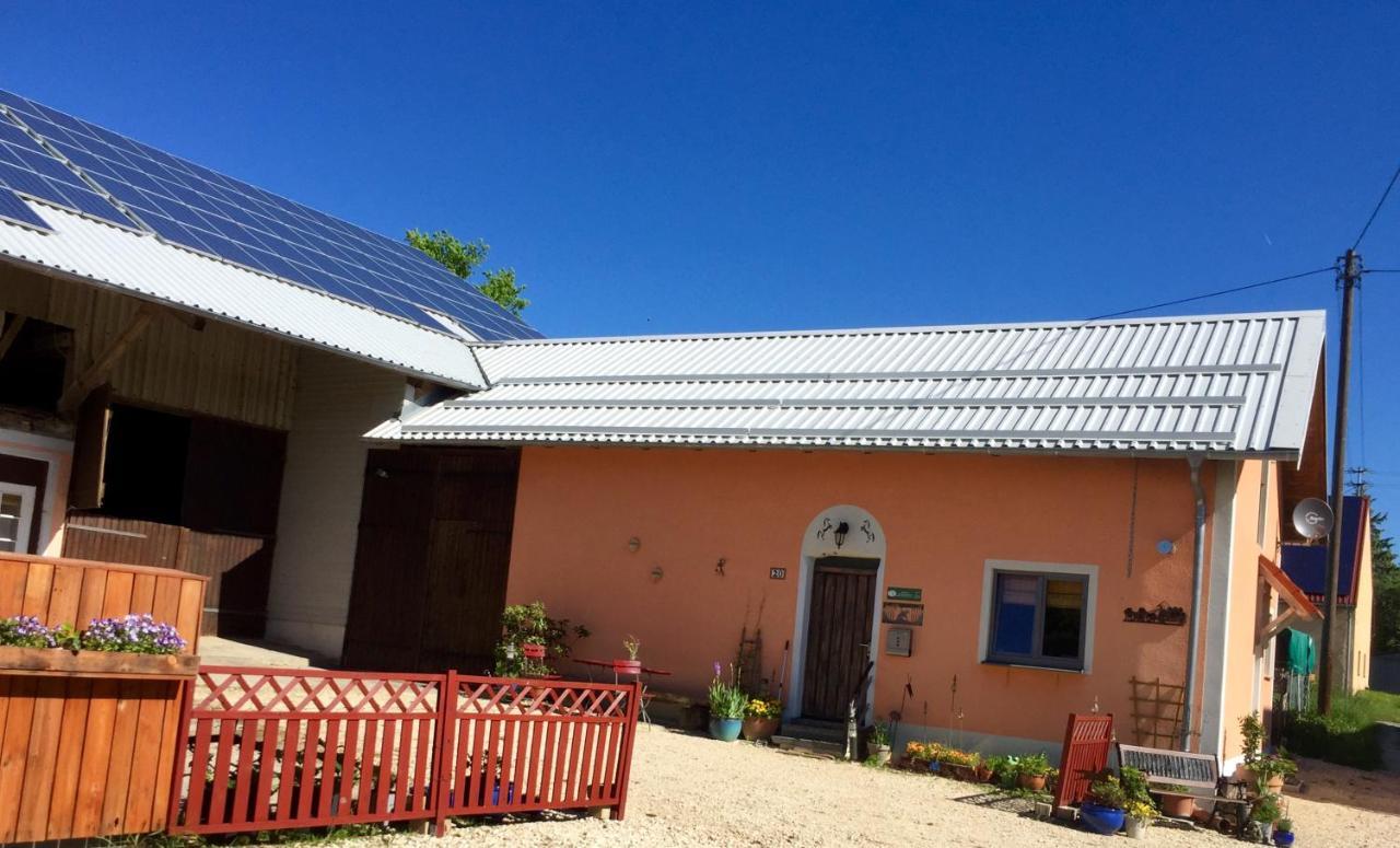 Apartament Emma Burladingen Zewnętrze zdjęcie
